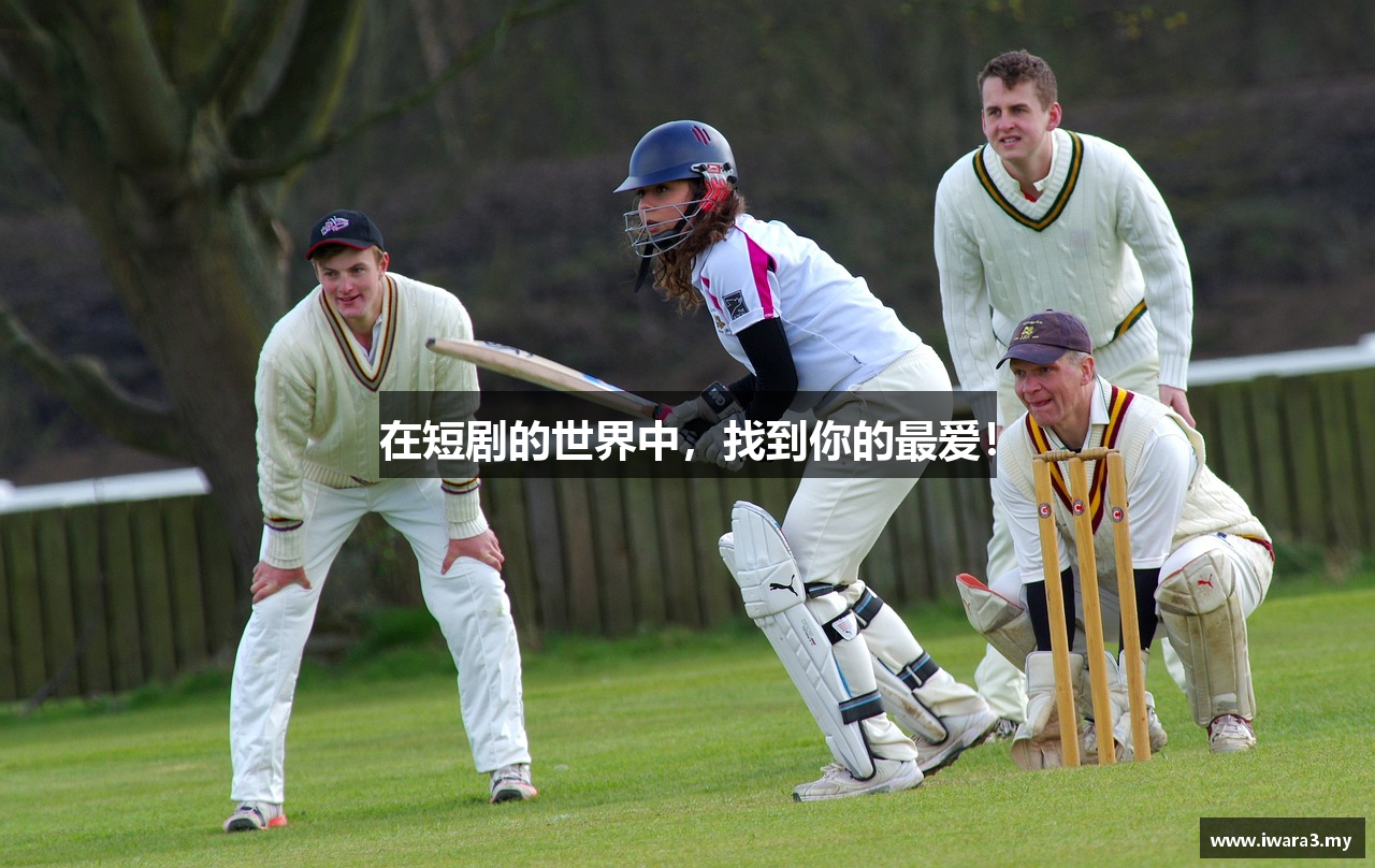 在短剧的世界中，找到你的最爱！